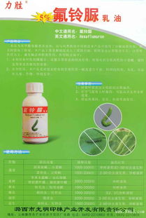 綠色農業新篇章 潞西市光明印楝產業的多元化產品布局與生態承諾